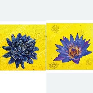 Flowers Reproduction Set (Yellow)